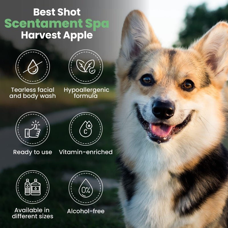 Best Shot Scentament Spa Seasonal Facial & Body Wash, Harvest Apple, 1 Gallon - Image 4